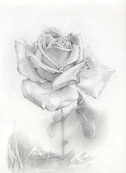 水彩画　works2  F8号 ミューズ ホワイトワトソン水彩紙 HW-2408 F8 スパイラル綴じ