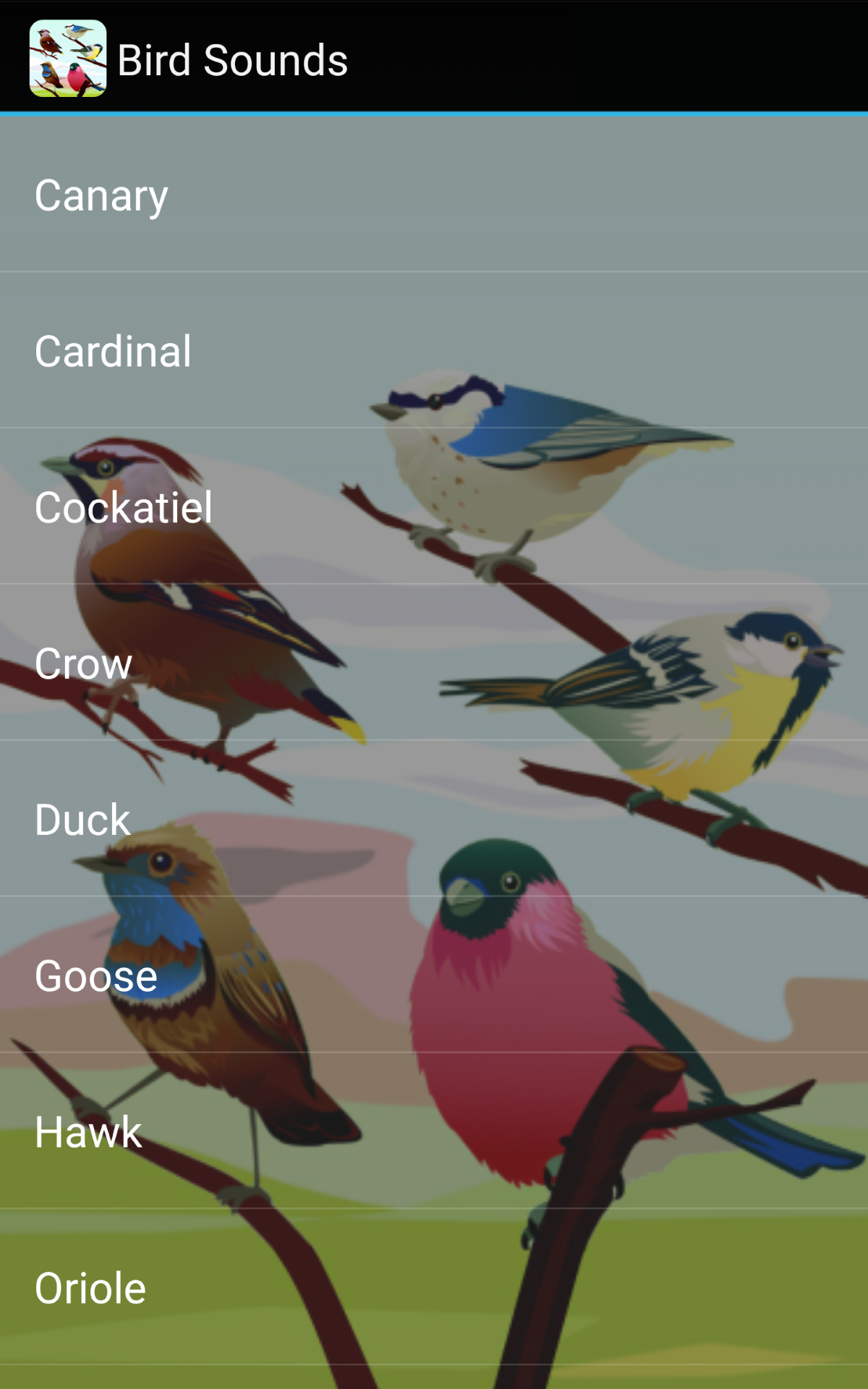 Bird Sounds - App on Amazon Appstore