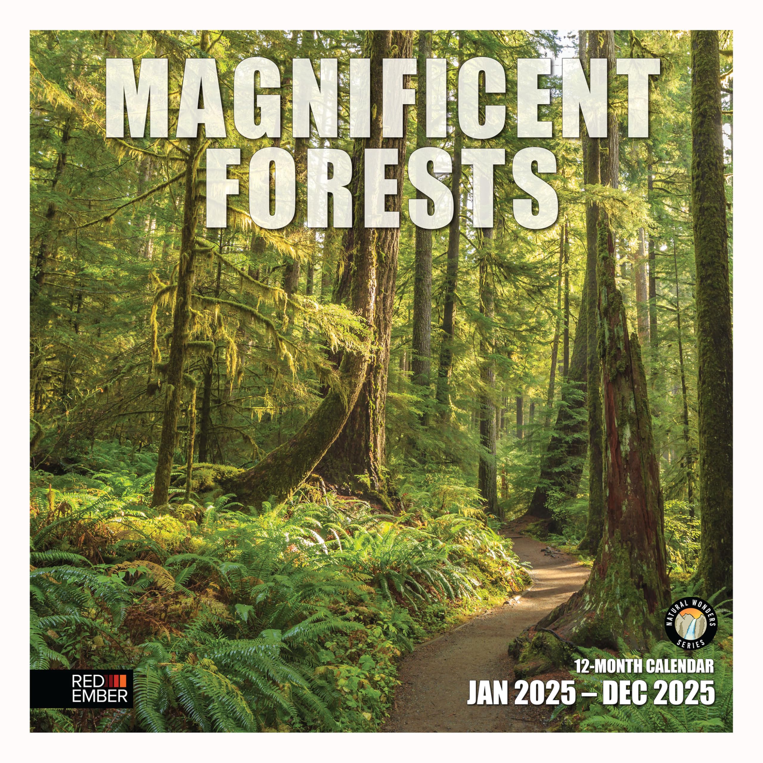 RED EMBER Magnificent Forests 2025 Wall Calendar 12 Month | 12" x 24" Open | Thick & Sturdy Paper | Giftable | Nature Calendar 2025