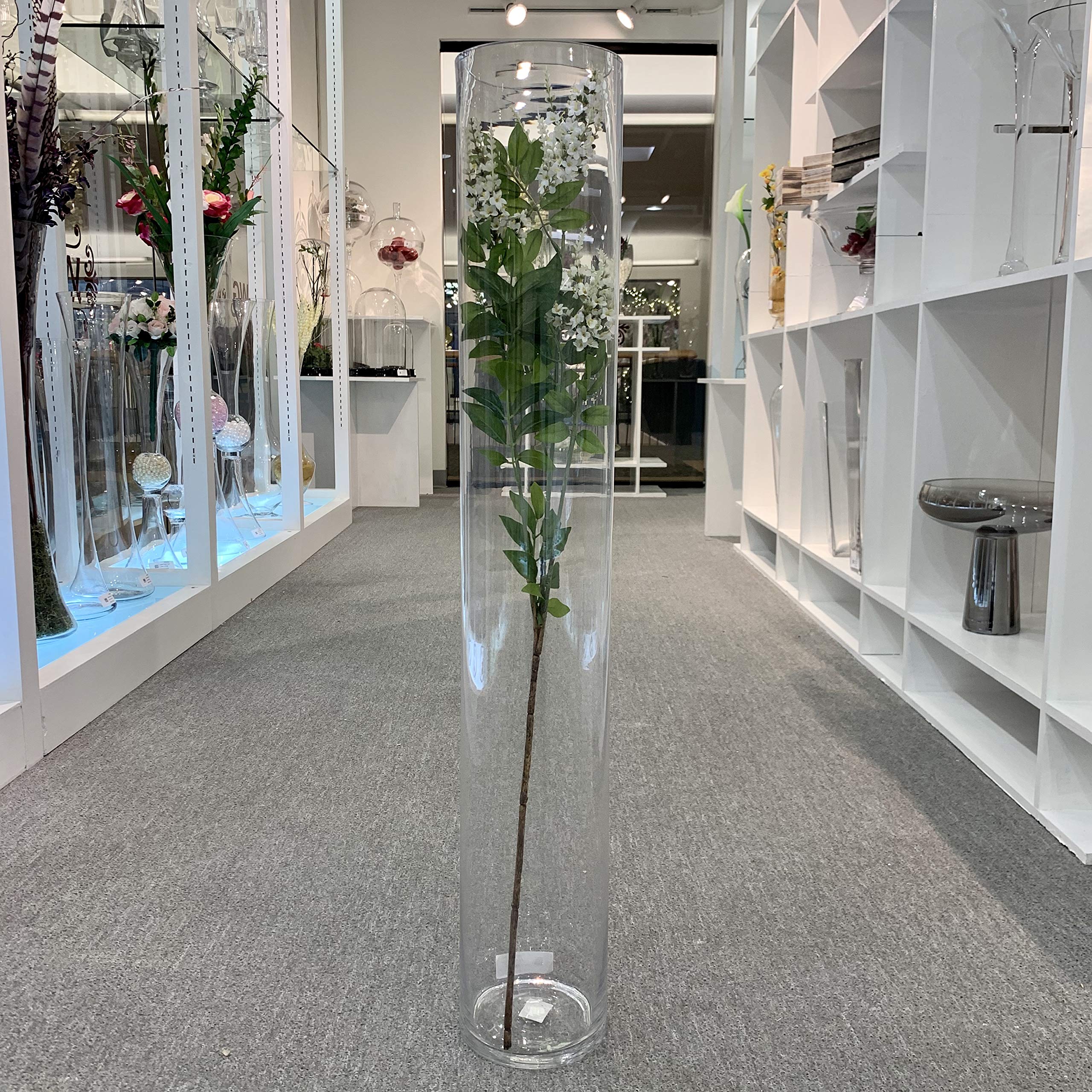 Amazon.com: WGV Tall Cylinder Glass Vase, Open Width 5