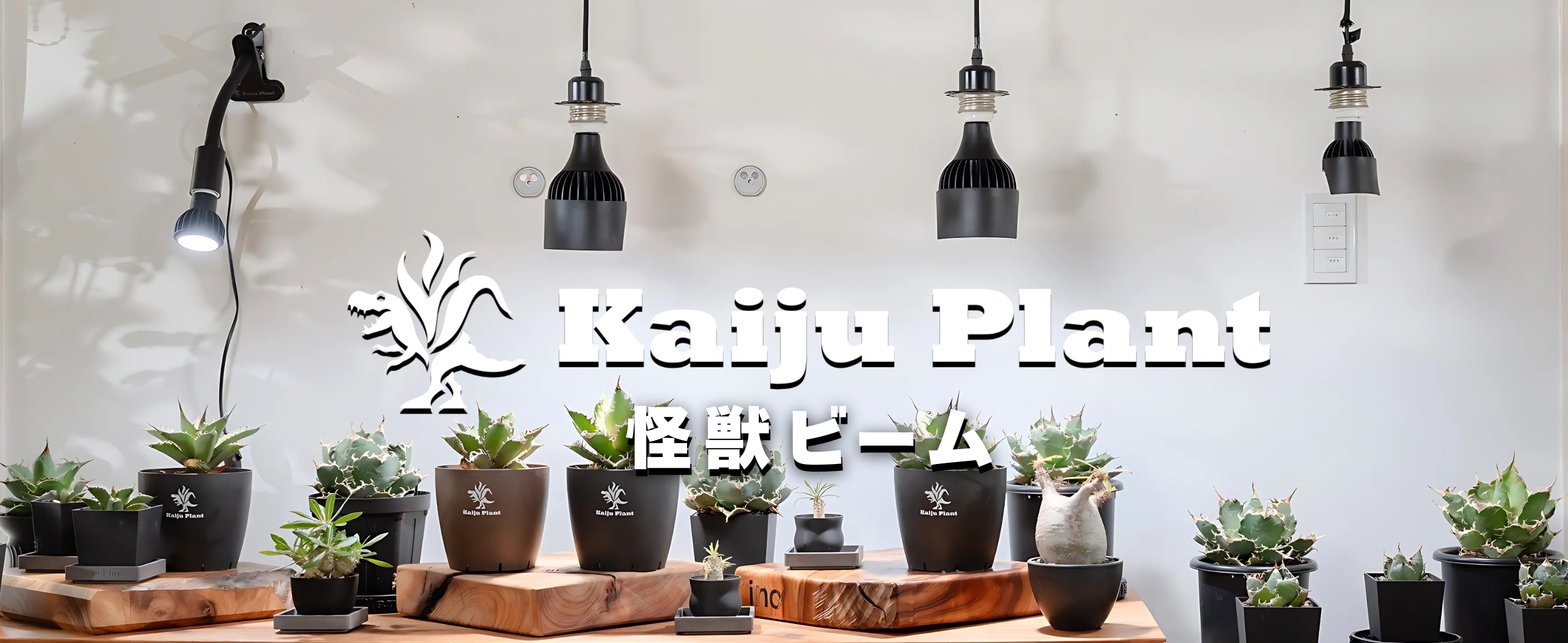 植物育成ライトLED怪獣ビーム12wソケット付き3個セット 楽天市場】Kaiju Plant 怪獣ビームLOW リフレクター付き