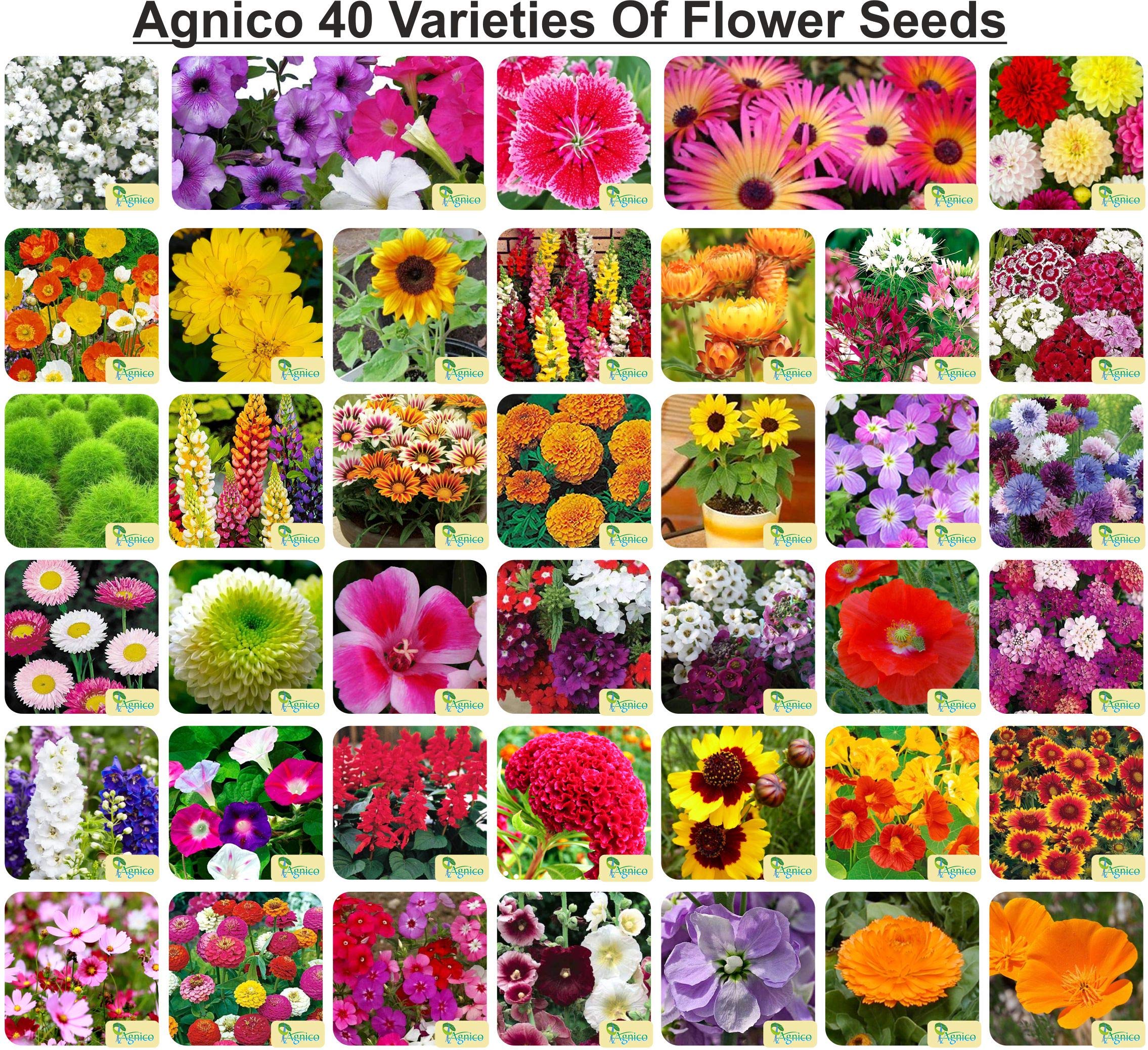 Agnico 40 Varieties of Flower 2295+ Seeds For Your Garden Beautiful Bloom High Germination Seeds with Instruction Manual (B08ZL11M3S) Amazon Price History, Amazon Price Tracker