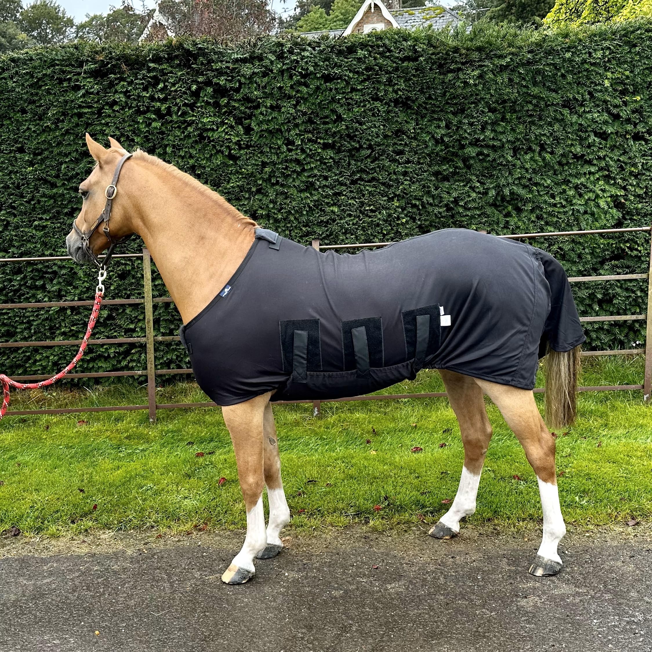Winter Under Rug for Horses | Weatherproof Rug for Pony or Horse | Premium Quality by Snuggy Hoods | 3 Colours, 11 Sizes