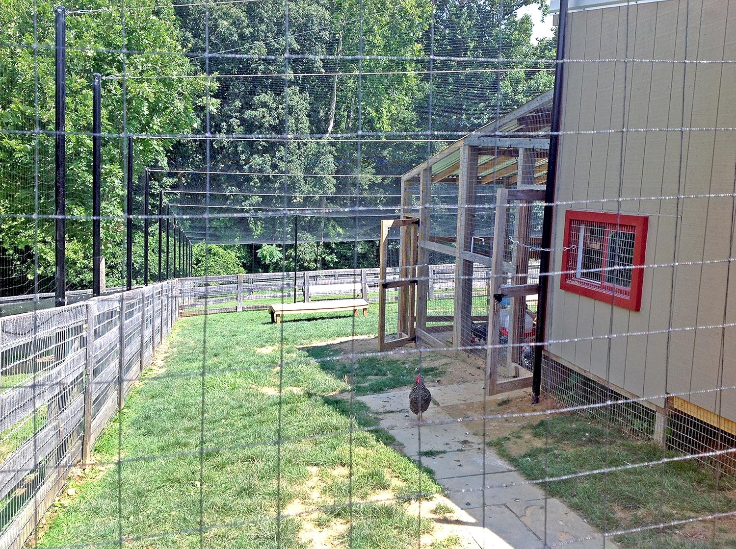 Netting 2" Square Mesh Bird & Barrier Netting (Netting HDPE, 25' X 25')