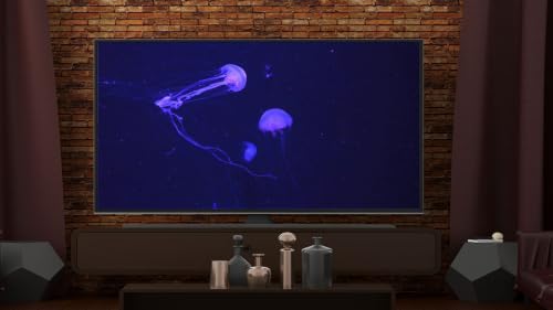 Aquarium de poissons tropicaux - Téléviseur récifal 4K Relax – vue 6