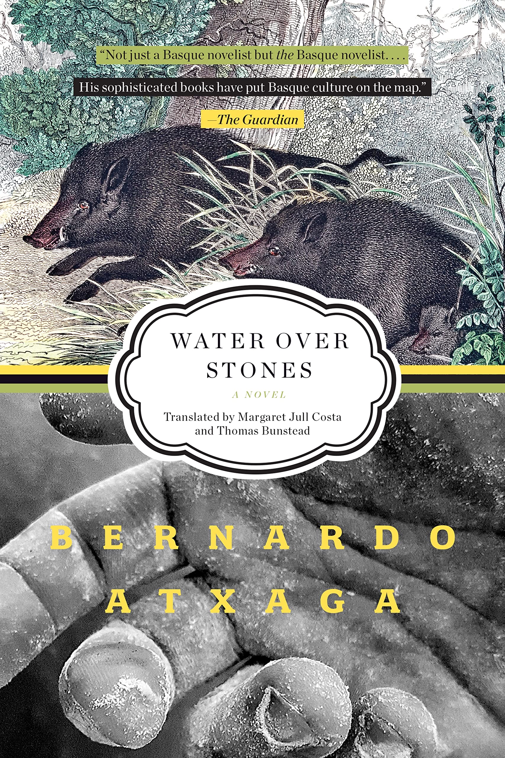 Buy Water Over Stones — BookShops.in