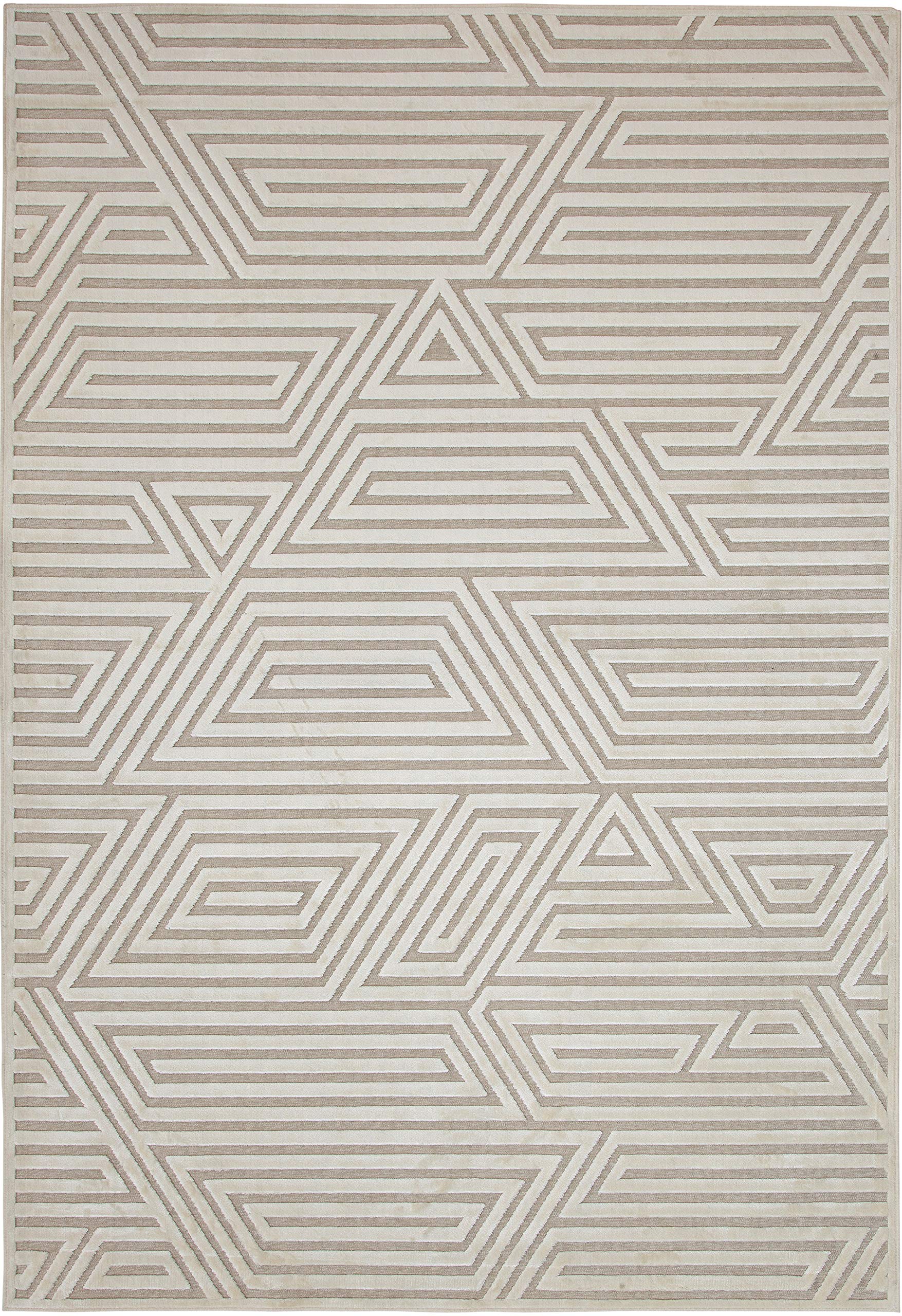 GOWE Orbit Ivory Area Rug 5x8