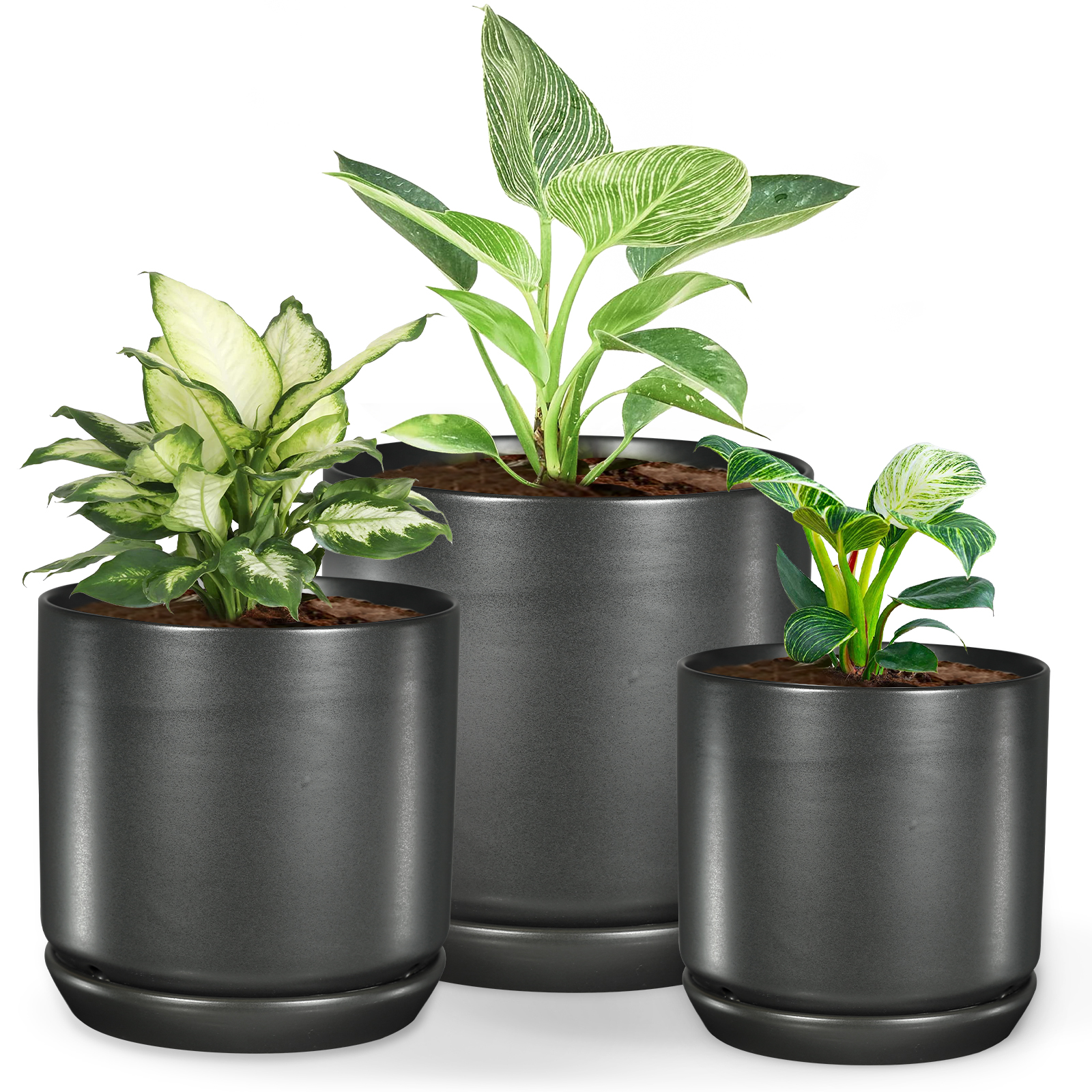 多肉植物 専用プラ鉢 24穴トレーセット けっこう使いやすい設計