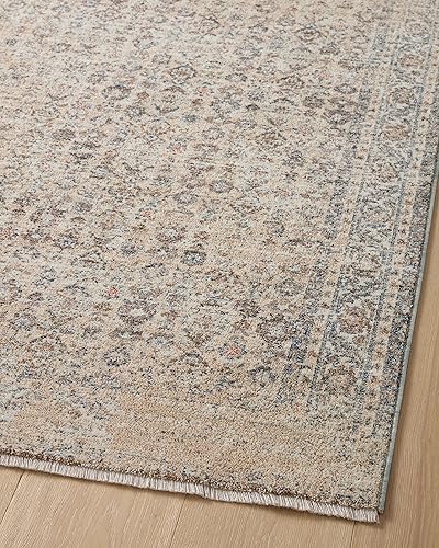 Miniatura 10 de Angela Rose x Loloi Blake Collection BLA-04 - Alfombra decorativa BeigeDenim de 4 pies x 5 pies 7 pulgadas