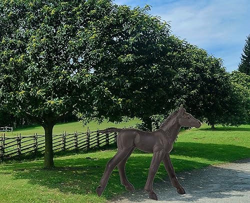 Miniatura 6 de Safari Ltd ganador del círculo Collectibles Arabian Potro