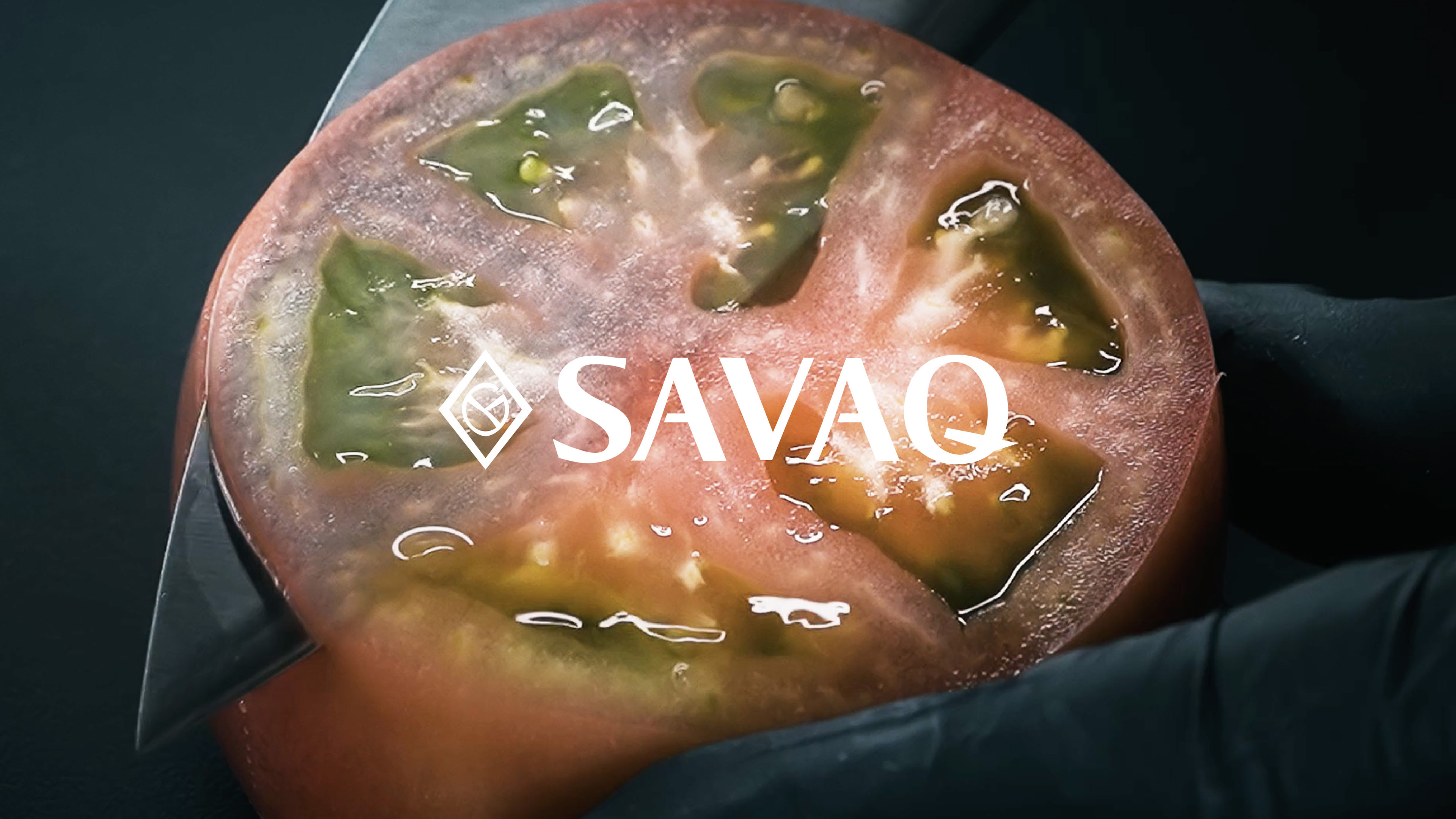 Amazon.co.jp: SAVAQ Genuine Santoku Knife, Petty Knife, Sharpener 