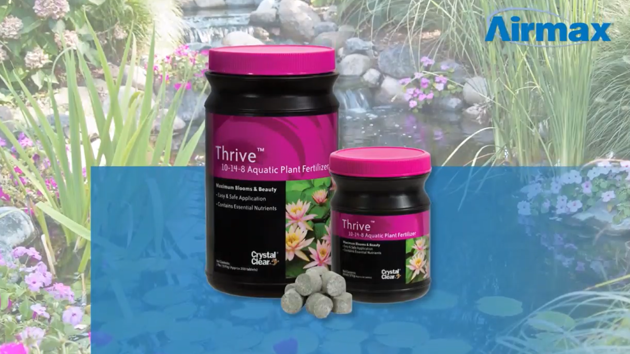 8-Quart Digital Air Fryer