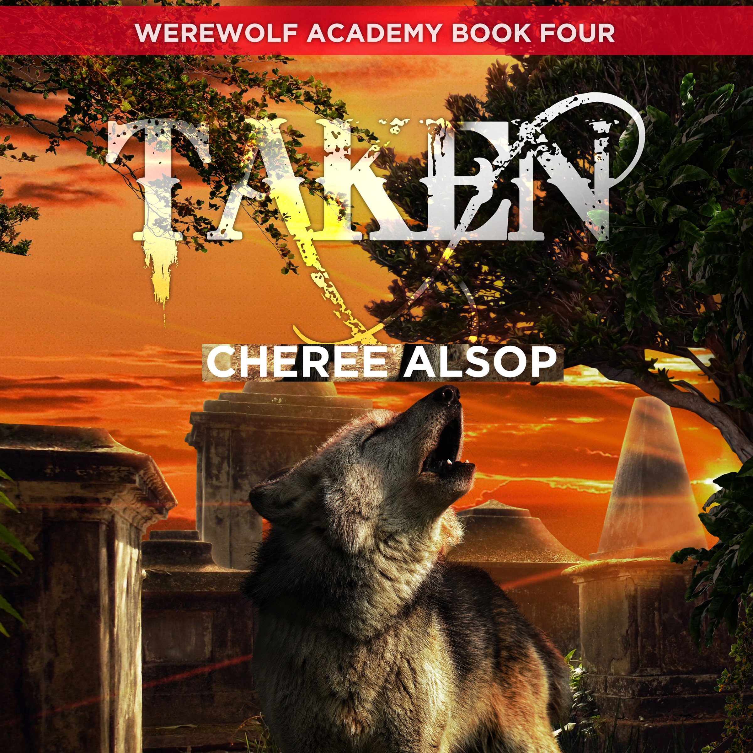 Cover art for Taken: Werewolf Academy, Book 4