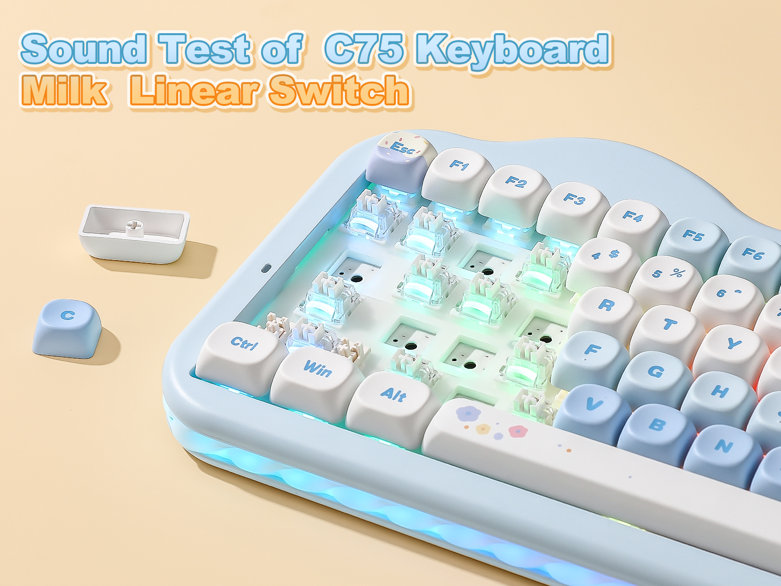 Amazon.com: YUNZII C75 Cute 75% Wireless Mechanical Keyboard (Blue