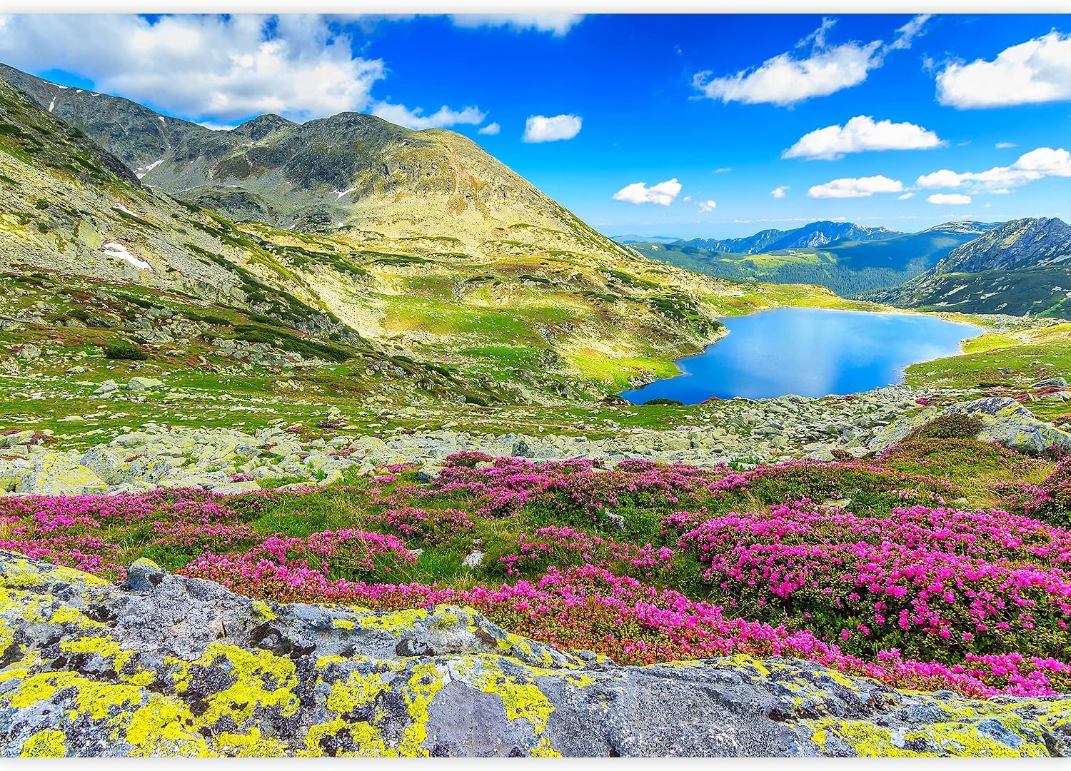 wall26 - Glacier Lake,High Mountains and Stunning Pink Rhododendron Flowers,Retezat National Park,Carpathians,Romania,Europe - Removable Wall Mural | Self-Adhesive Large Wallpaper - 66x96 inches