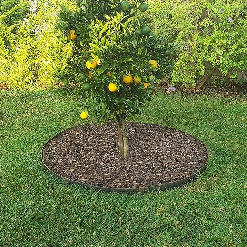 Miniatura 7 de Kit de ribete de anillo circular para árbol - COR-Ten Steel - Borde de paisaje