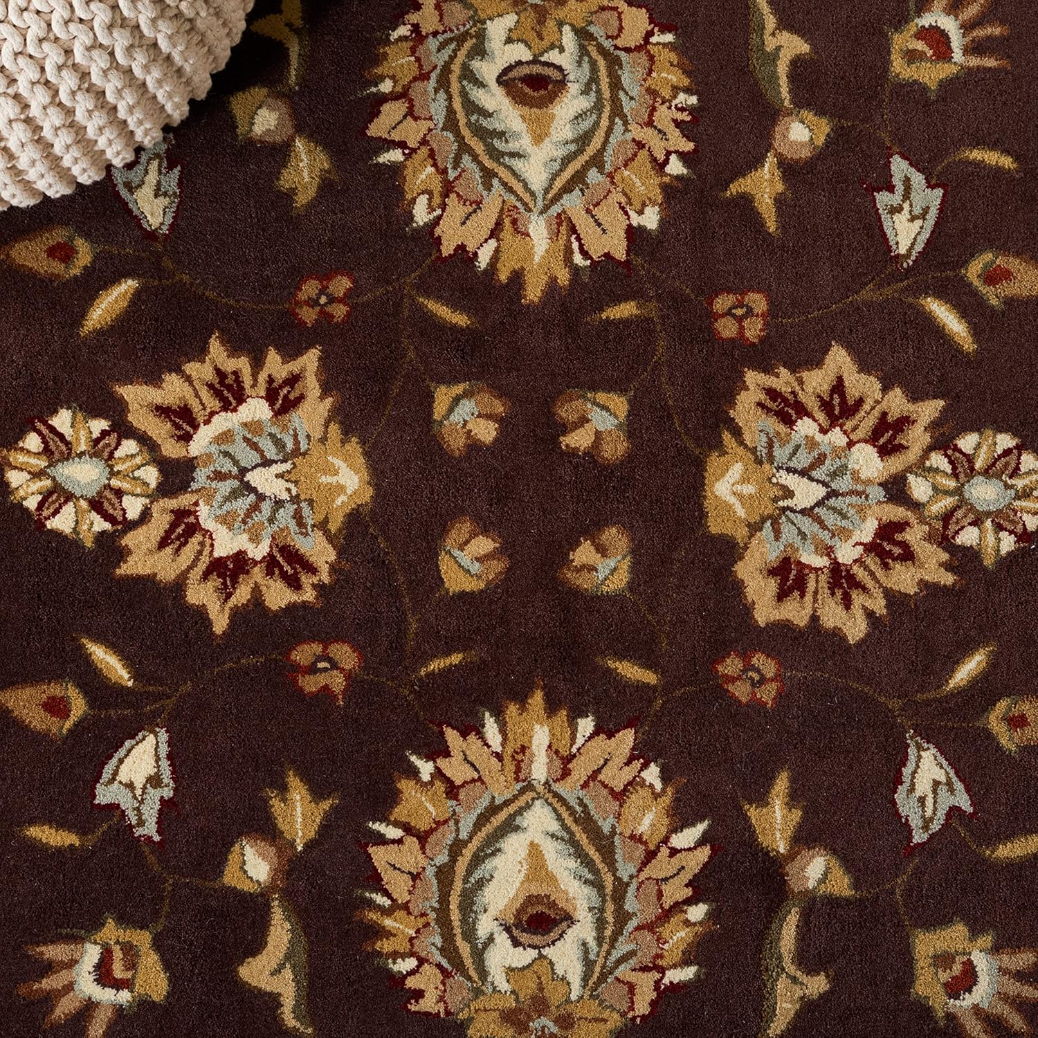 SAFAVIEH Total Performance Collection Accent Rug - 2' x 3', Brown & Ivory, Hand-Hooked Oriental, Non-Shedding & Easy Care, Ideal for High Traffic Areas in Entryway, Living Room, Bedroom (TLP416D)