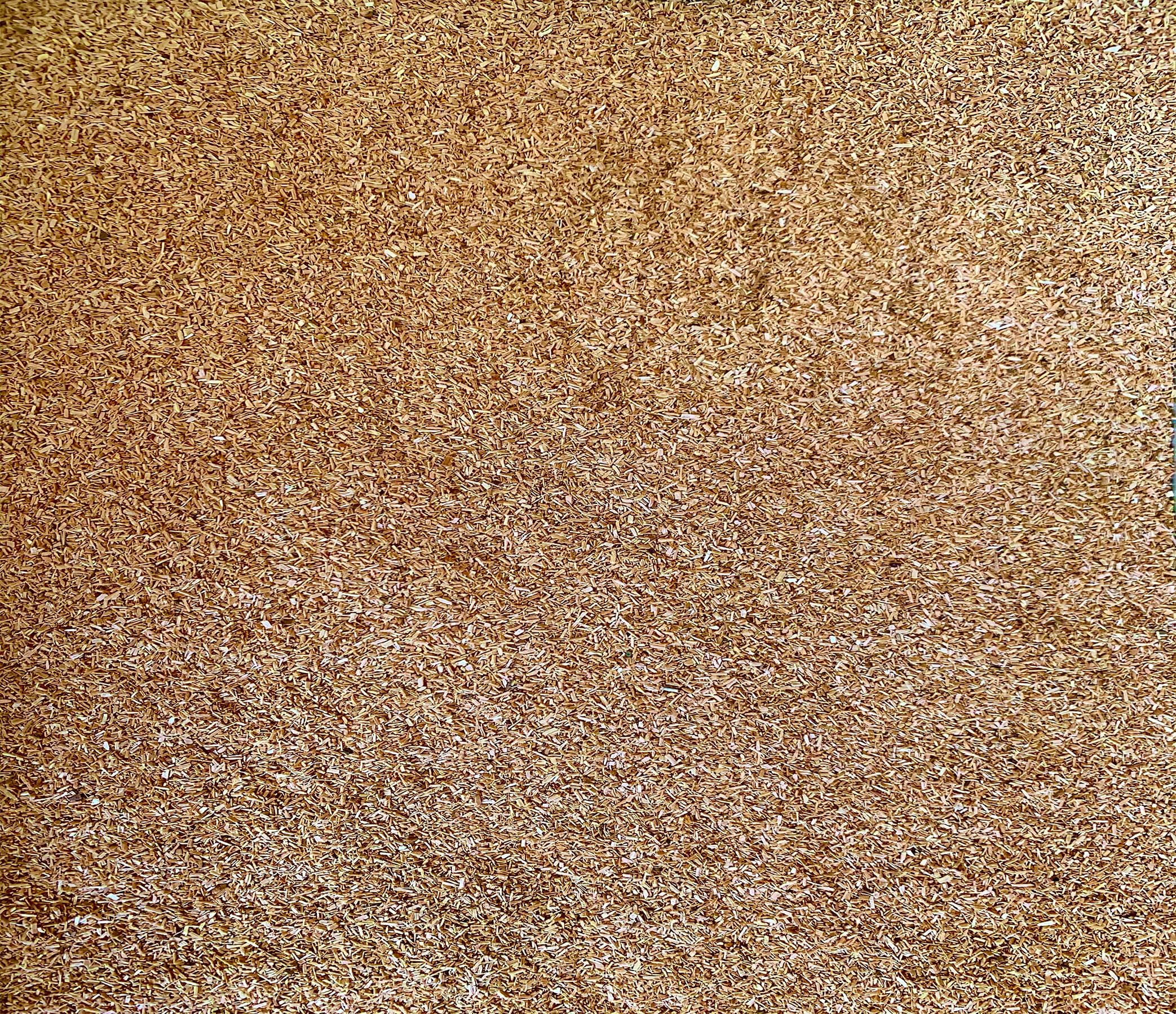 PINI Trucioli di legno di faggio e ontano misti, 15 kg, 1-3 mm