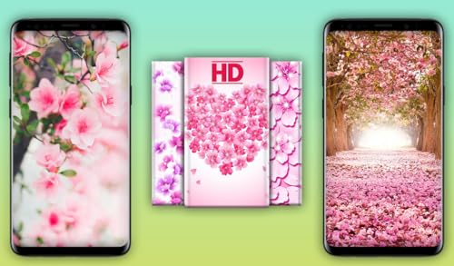 Cherry Blossom Wallpapers
