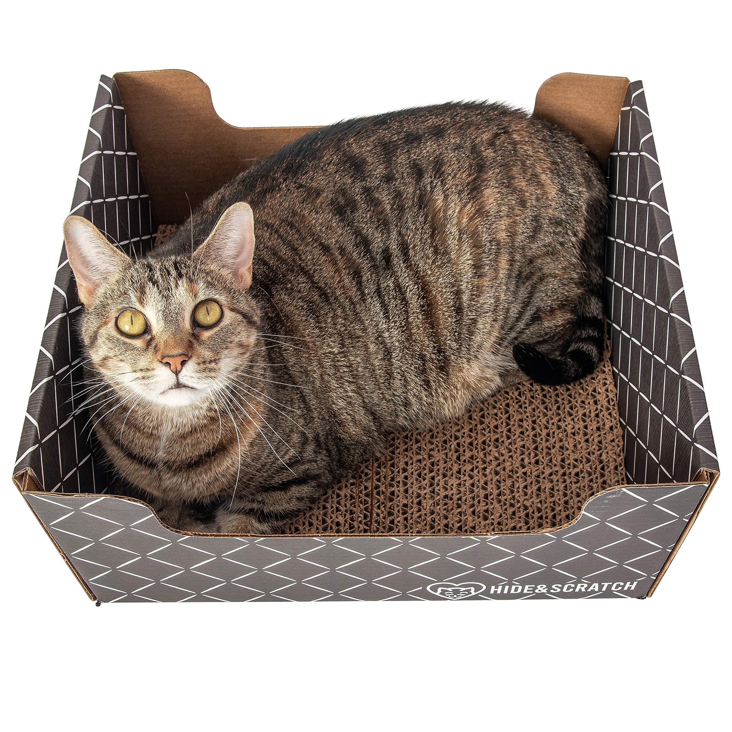 Hide & Scratch: Extra-Large Heavy Duty Cardboard Cat Scratcher and Lounger Box with Refillable Scratch Pad (Dark Brown)