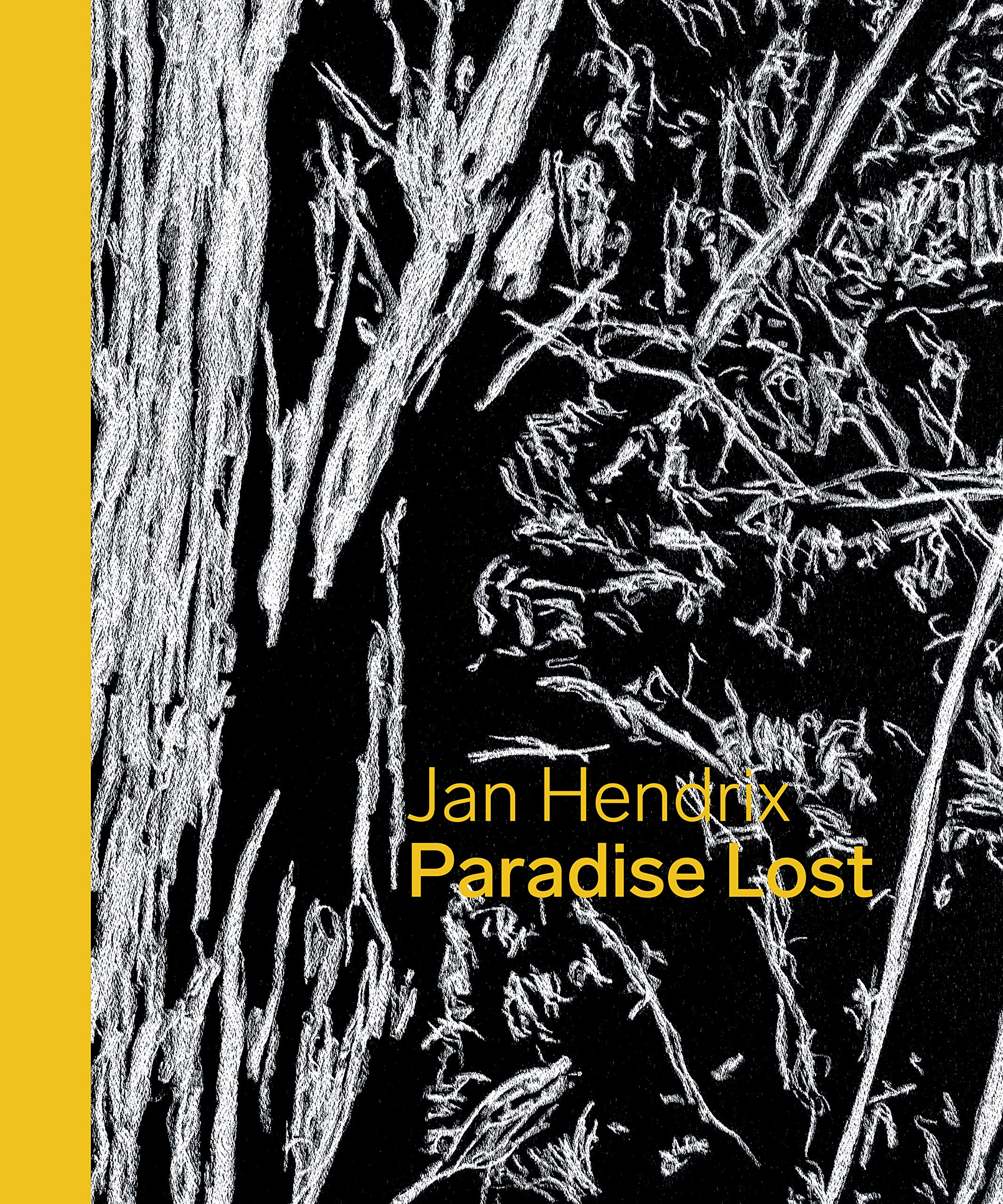 Jan Hendrix: Paradise Lost by Jan Hendrix HARDBACK 9781842467169