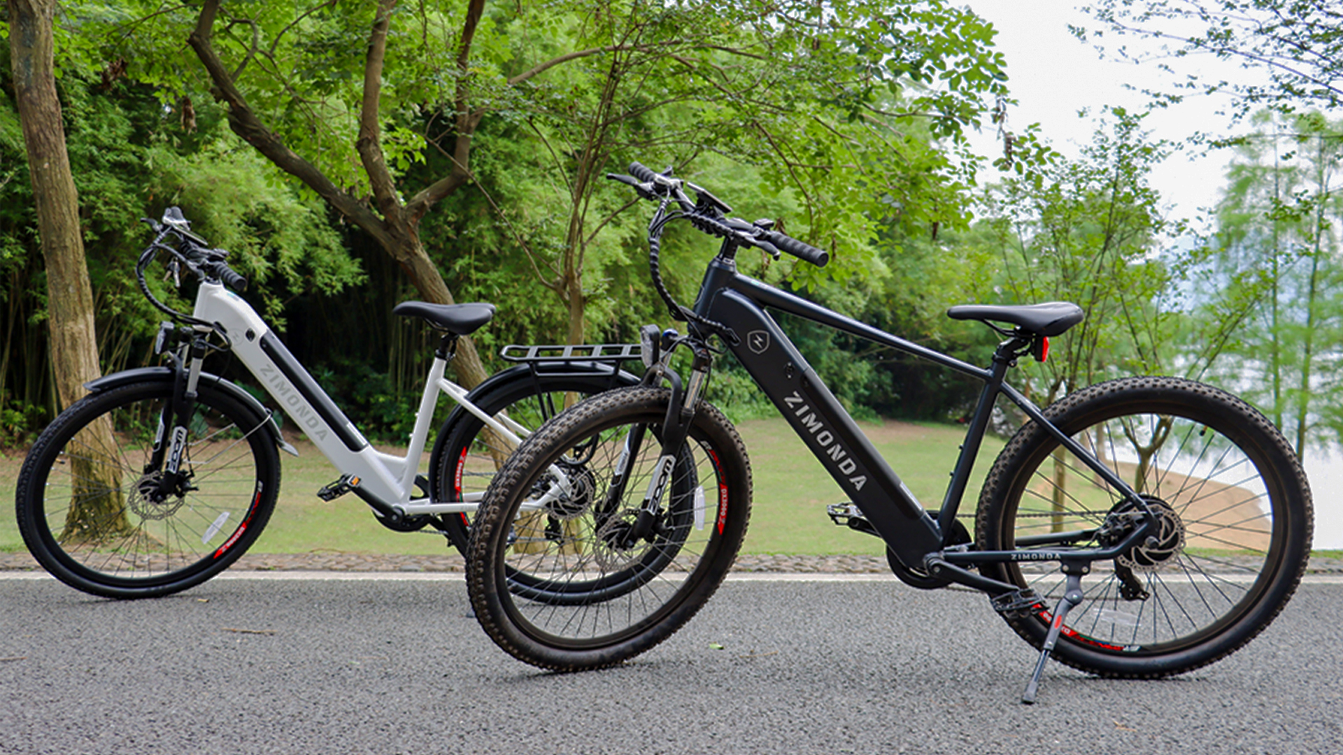 zimonda elektrofahrrad Ebike Installation Details Demonstration ansehen Color:Holographic Küche spülmittel aufbewahrung - Cargo Electric Bike