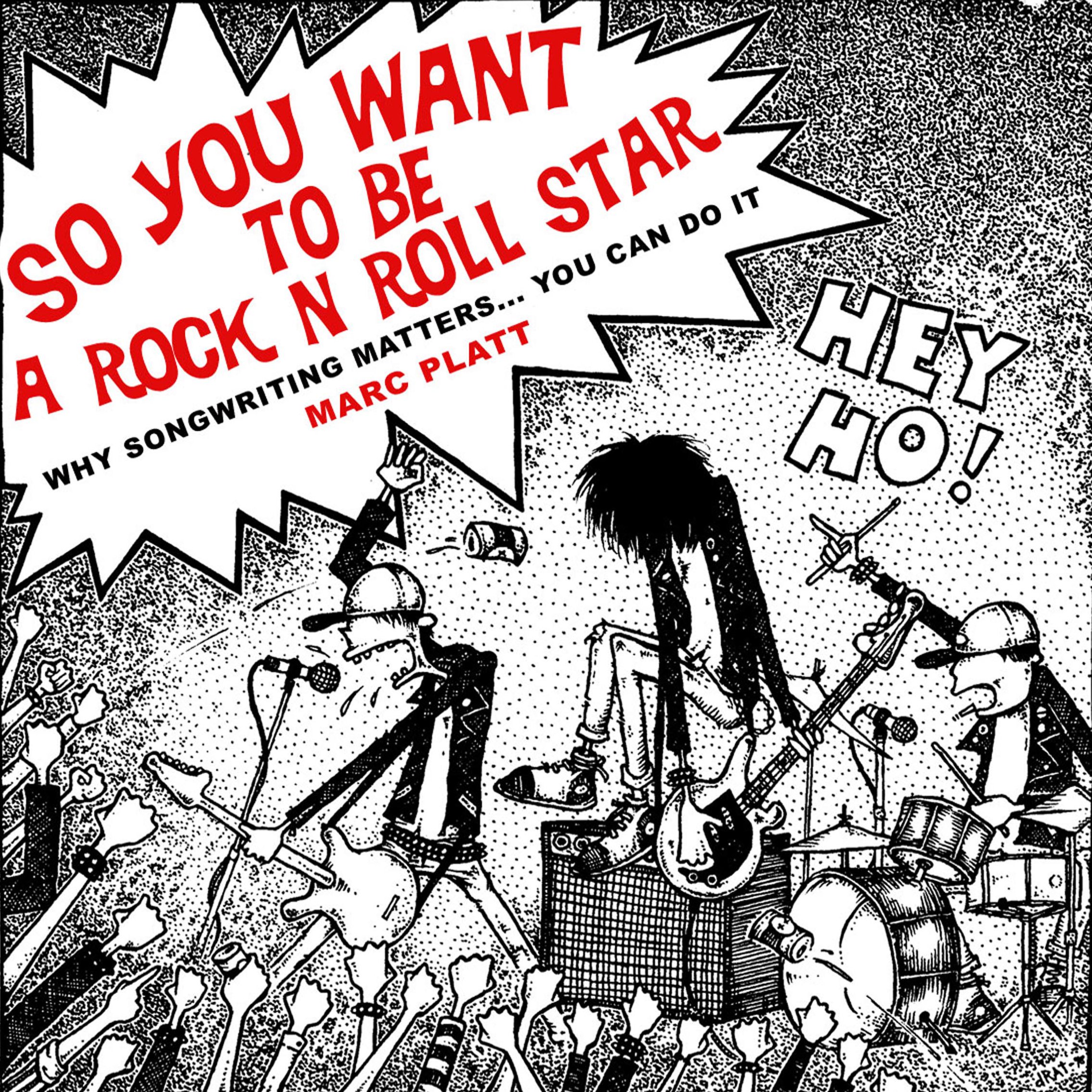Cover art for So You Want To Be A Rock N Roll Star
