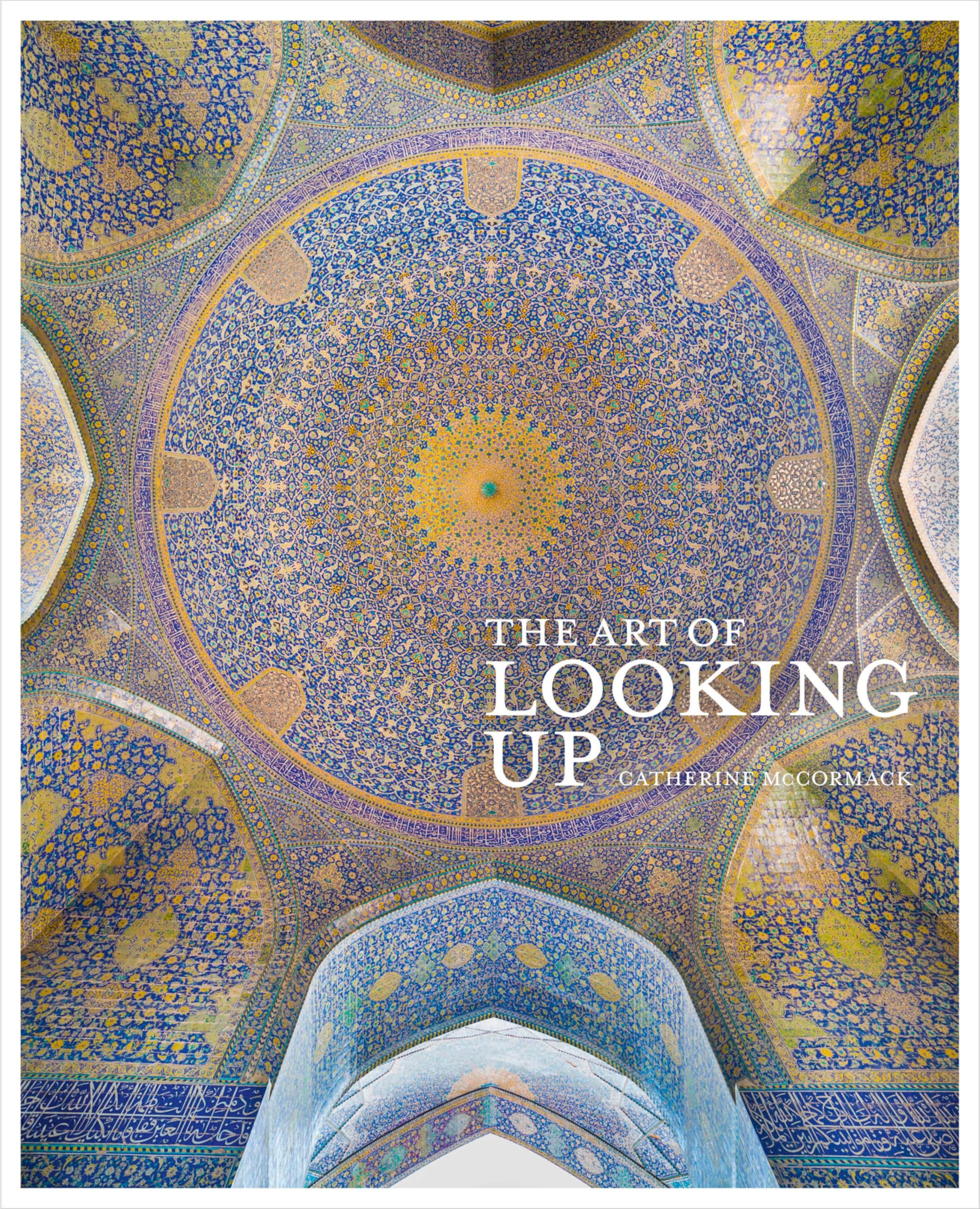 The Art of Looking Up guide illustré en anglais pour comprendre l art des plafonds