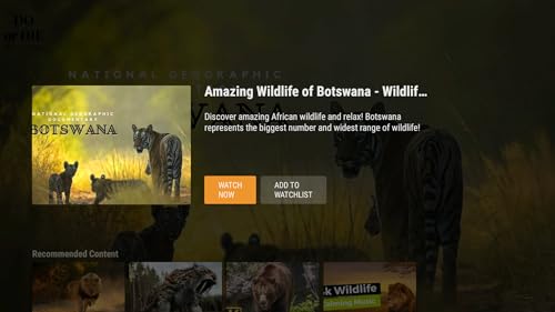 Amazing Wildlife Adventures
