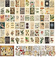 ANERZA 100 PCS Vintage Wall Collage Kit Aesthetic Pictures, Cottagecore Room Decor for Bedroom Aesthetic, Posters for Room Aesthetic, Cute Boho Photo Wall Decor for Teen Girls, Dorm Green Wall Art