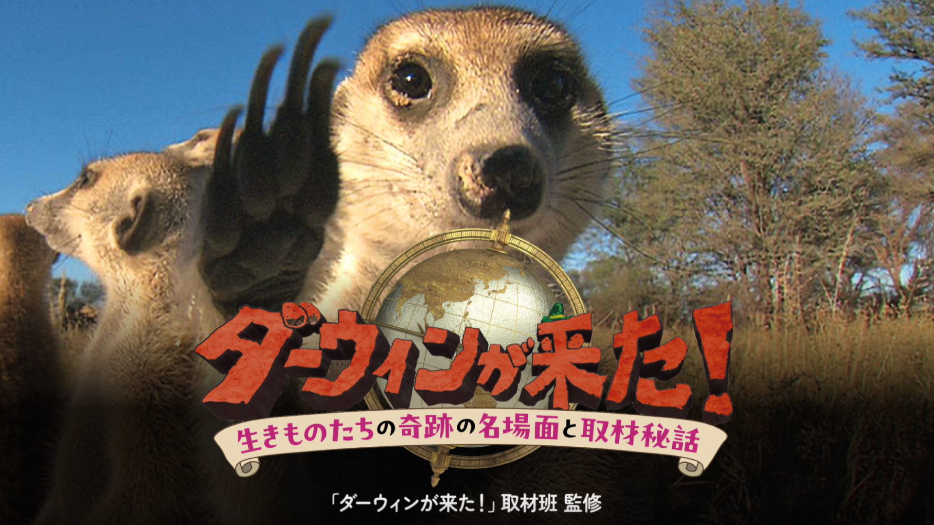 Amazon.co.jp: ダーウィンが来た! 生きものたちの奇跡の名場面と取材