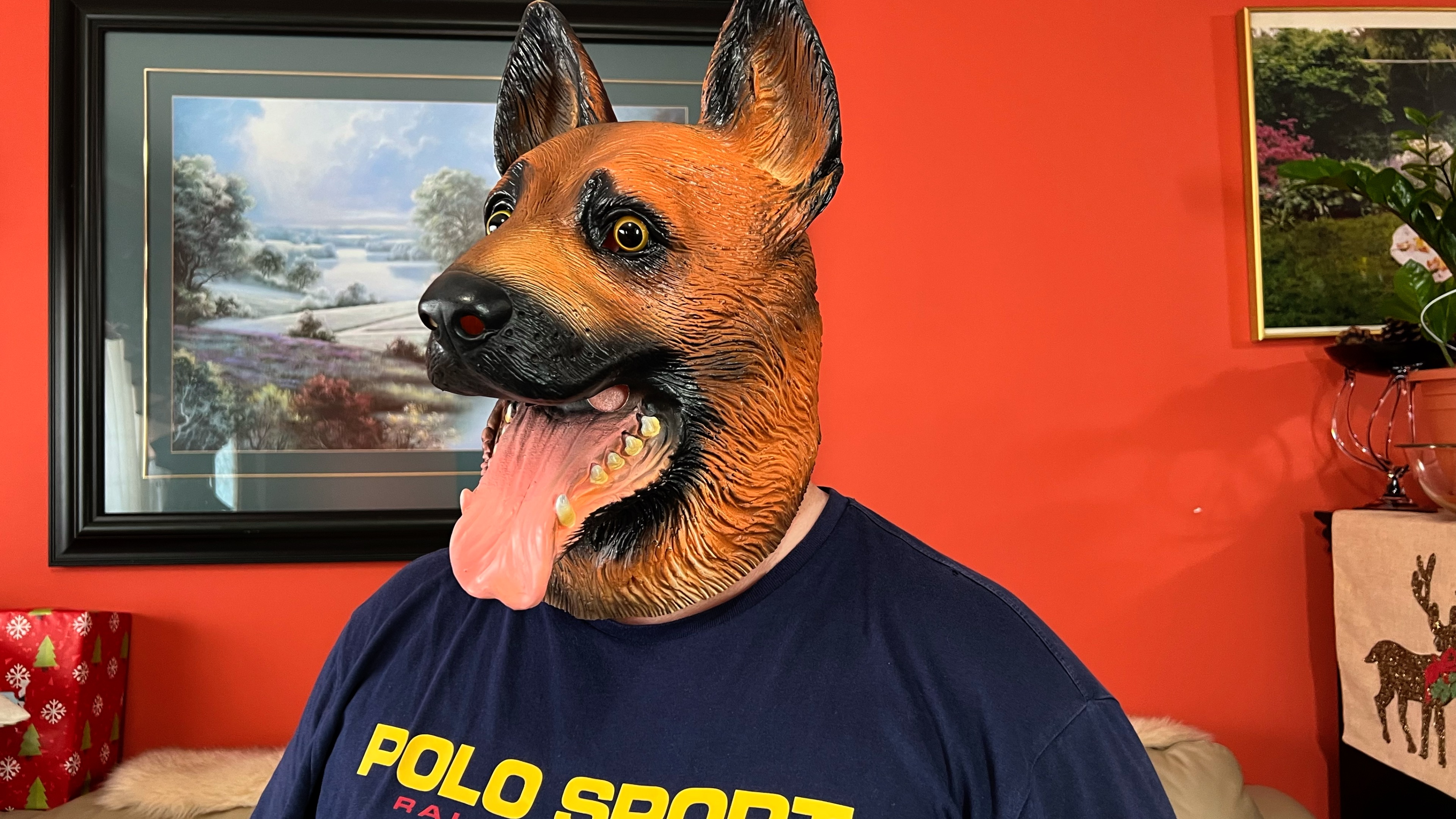 Dog Head Mask Review - Latex ﹙German Shepherd﹚ Dog Head Mask on Amazon Live