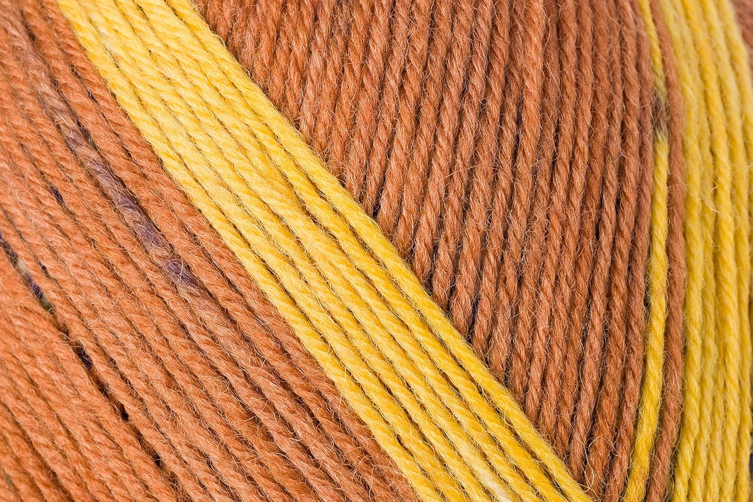 Regia Pairfect Design Line 4-Ply by Arne & Carlos Sock Yarn (9134 - Forest)