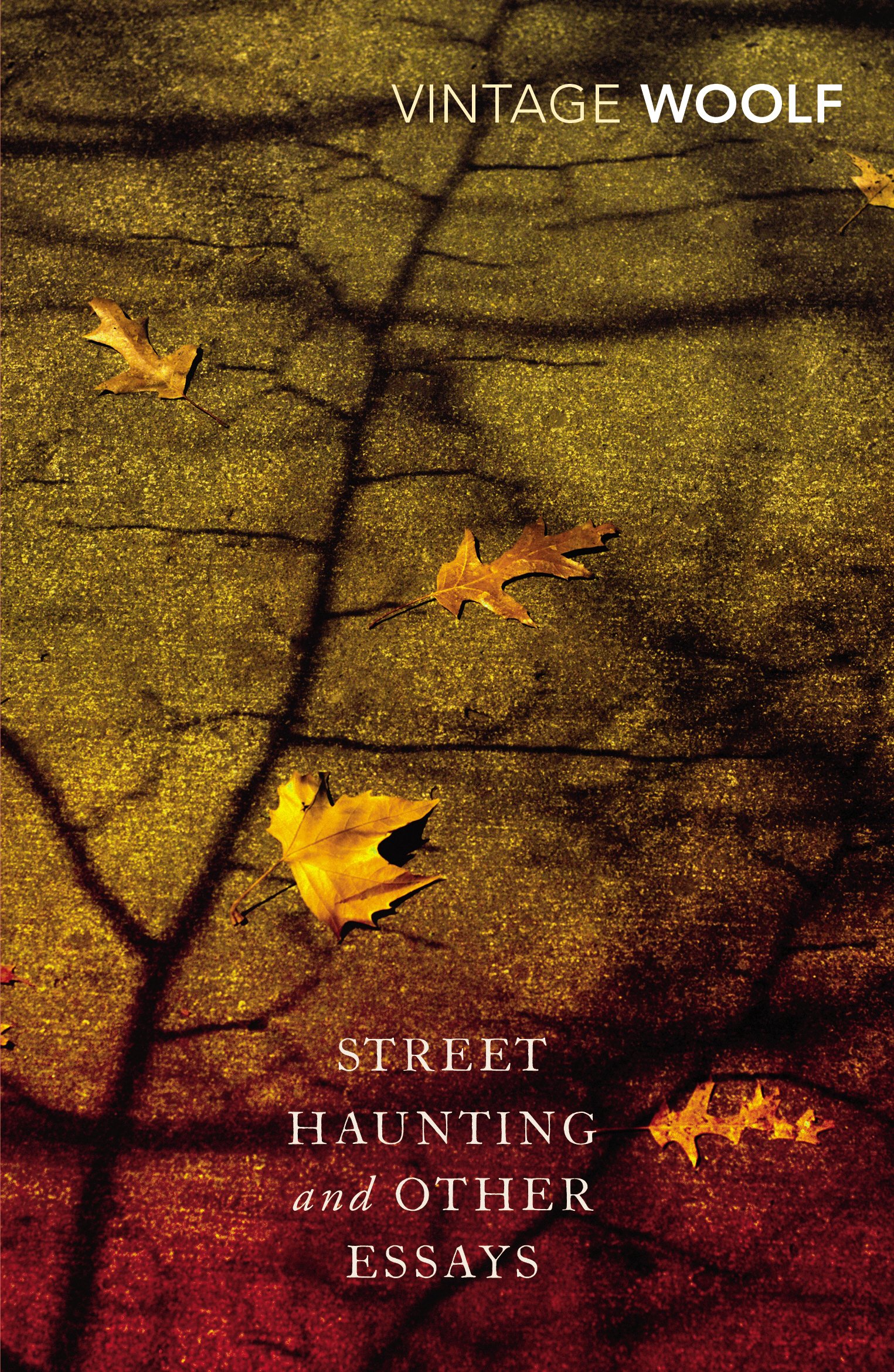 Street Haunting and Other Essays by Virginia Woolf, Stuart N.... - 9780099589778