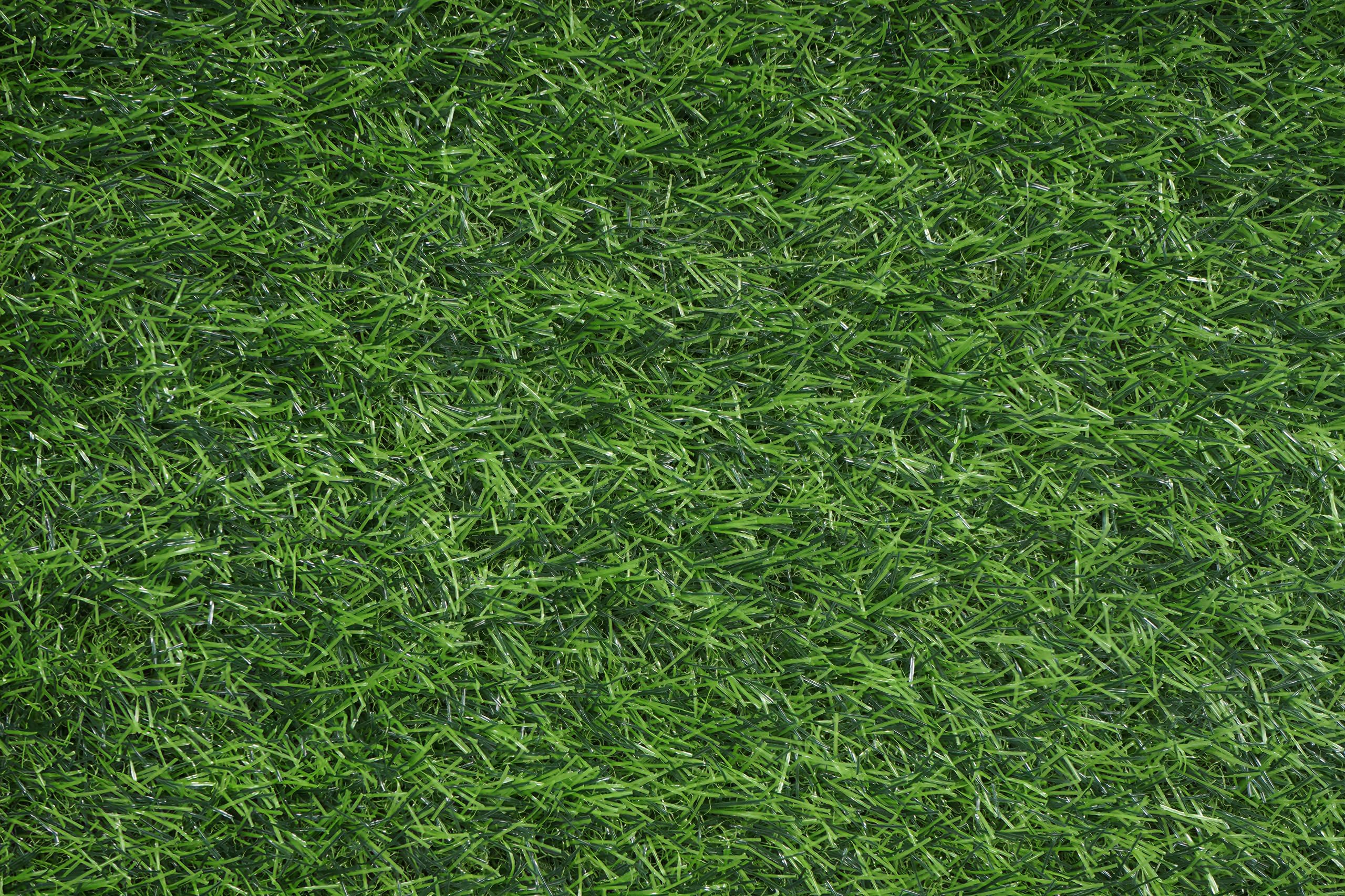 Nisorpa Tapis de gazon artificiel d'extérieur - 2 x 3 m - Gazon artificiel de 30 mm de hauteur - Rouleau de gazon synthétique perméable à l'eau - Pour l'extérieur, le balcon, le jardin, la terrasse
