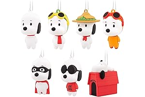 Hallmark Peanuts Snoopy Blind Box