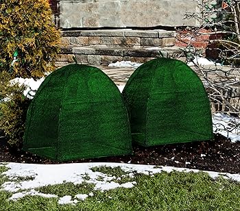 A1PbVTZ1N4L._AC_UF350, A1PbVTZ1N4L._AC_UF350,