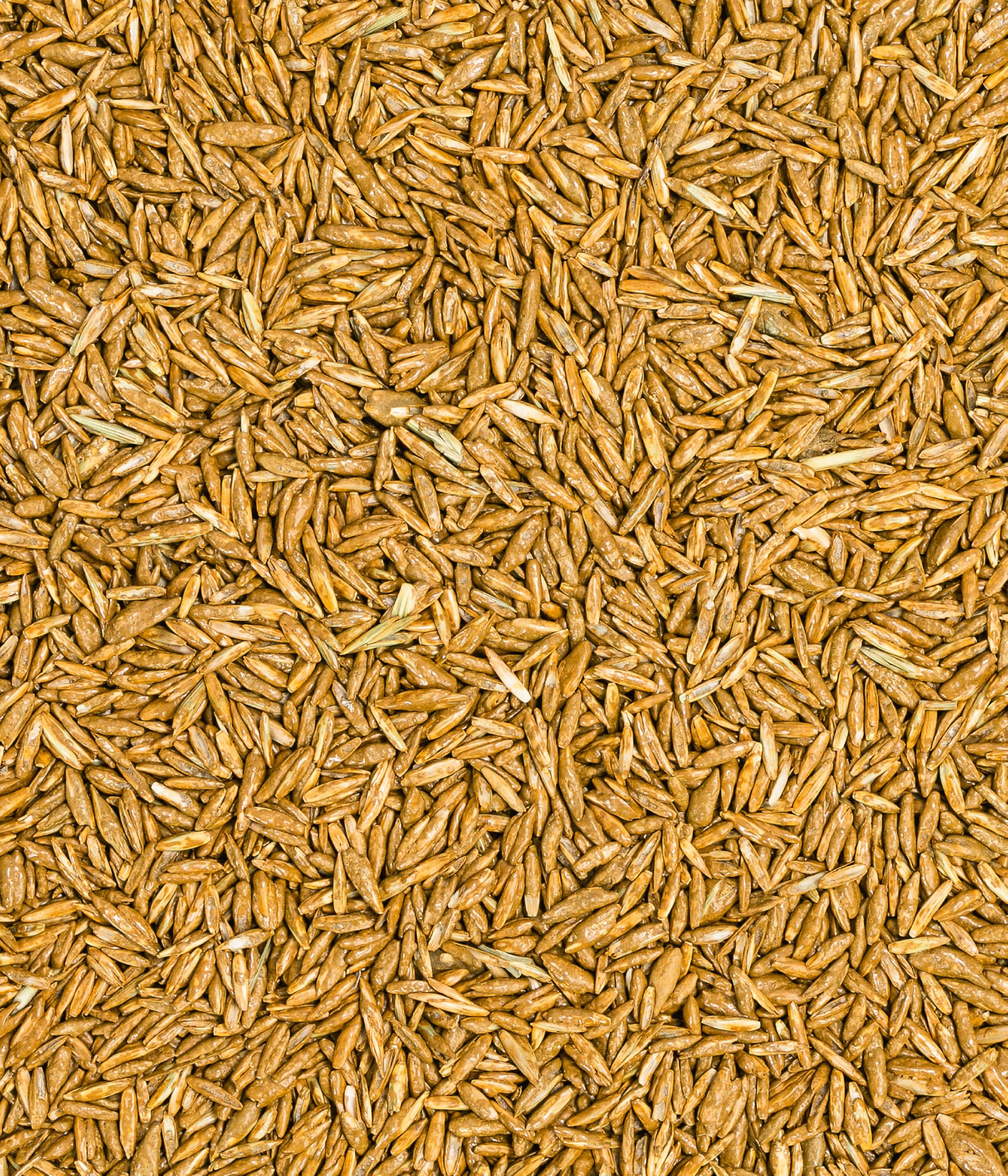 Dehner Semillas orgánicas para césped, Mezcla de Semillas, germinación rápida, 500 g, para Aprox. 25 m²