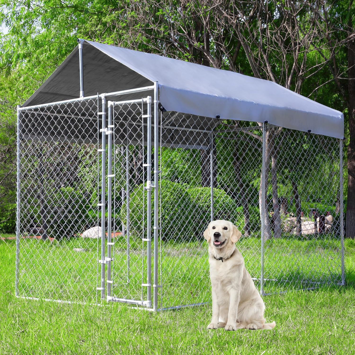 Outdoor Dog Kennel Large with Roof, Dog Run Enclosure, Large Outside Heavy Duty Dog Pens House Pet Playpen with Galvanized Chain Link Waterproof Cover (10’Lx6’Wx7.65’H)