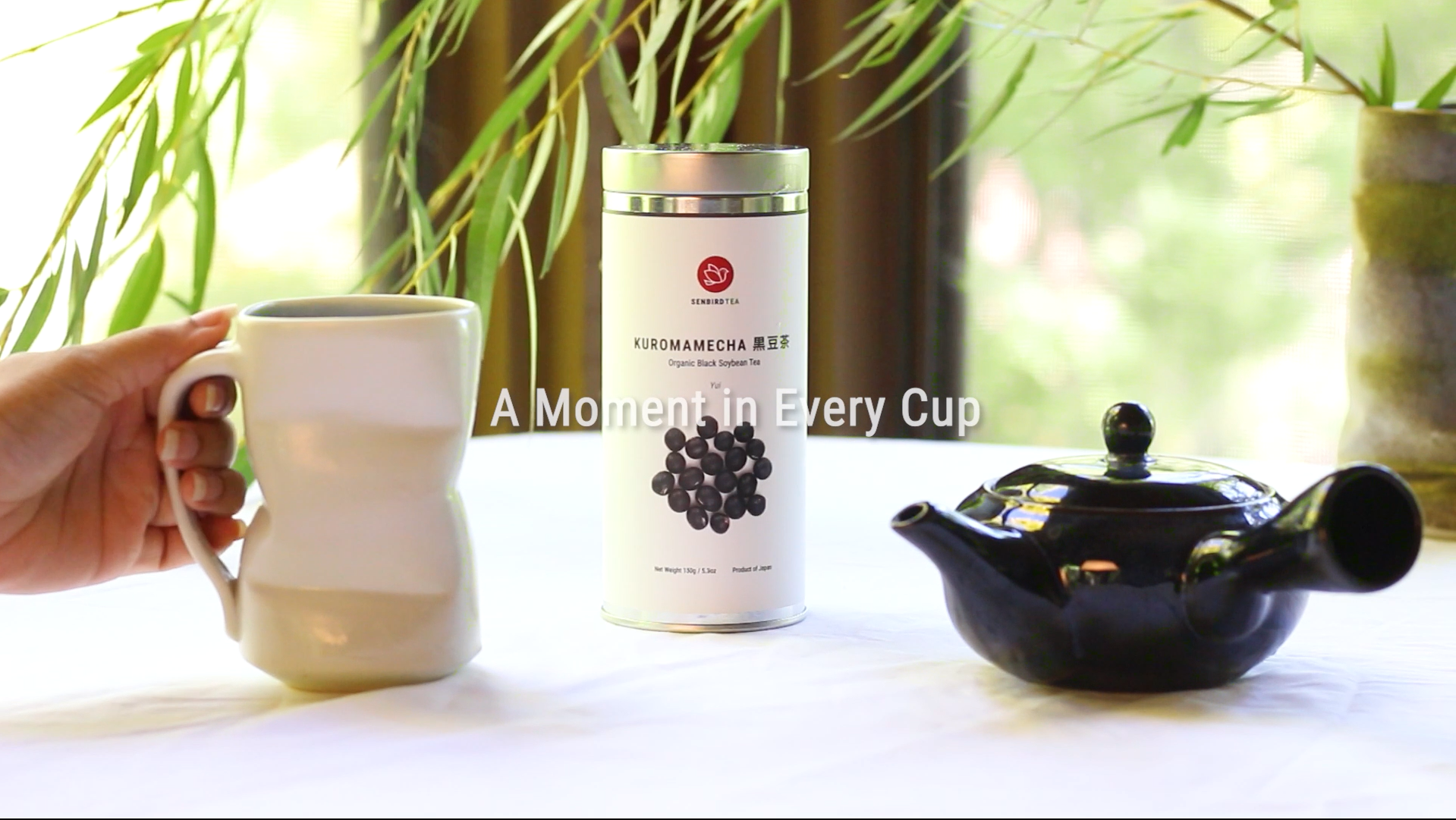 Amazon.com : Senbird Premium Kuromamecha - Japanese Black