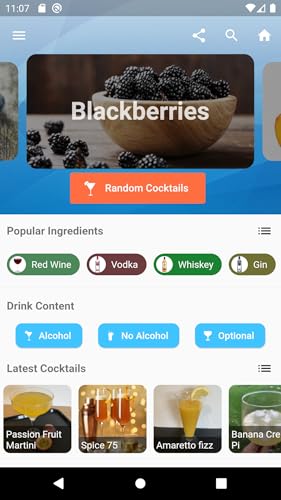Flavor Splash - Cocktails, Mocktails & Smoothies Recipes