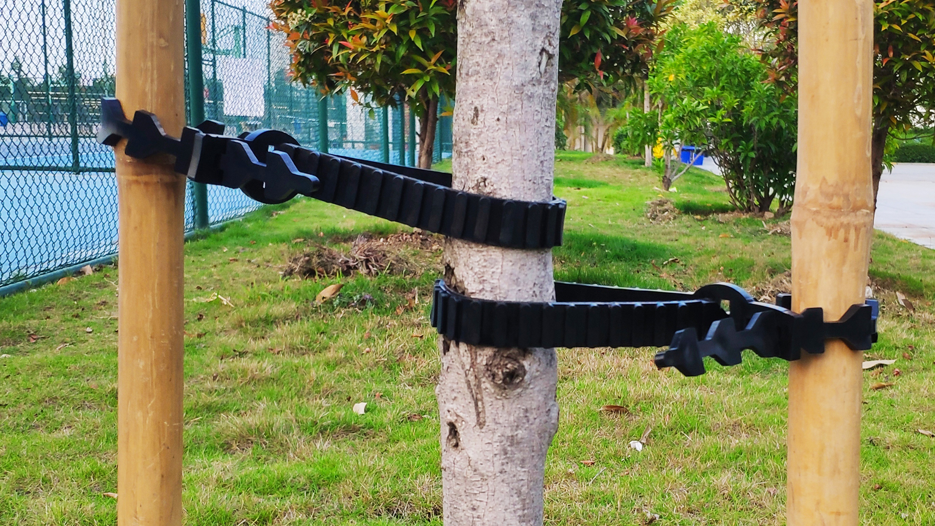 Amazon.com: magarz 5 pcs Tree Supports Adjustable New Tree Straps