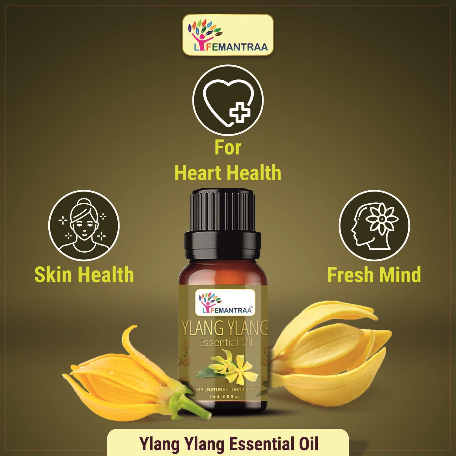 Lifemantraa Pure Tea Tree and Ylang Ylang Essential Oil for Home Fragrance Diffuser, Essential Oils Set for Room Air Freshener Aroma Oil Diffusers, Soap Making, Candle Making 10ml Each (20ml) 1