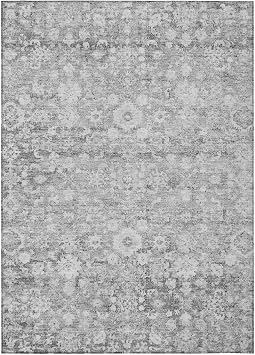 Addison Rugs Chantille ACN651 Silver 3 x 5 Indoor Outdoor Area Rug, Easy Clean, Machine Washable, Non Shedding, Bedroom, Living Room, Dining Room, Kitchen, Patio Rug