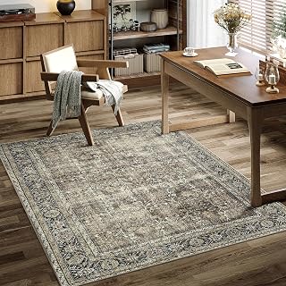 PureCozy Brown Small Area Rug 4x5 Vintage Traditional Distressed
