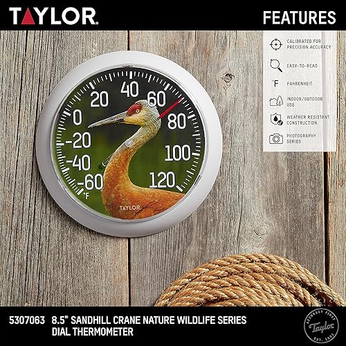 Miniatura 2 de Taylor Nature Series Sandhill Crane - Termómetro de esfera para interiores y exteriores, decoración de pared fácil de leer para patio, piscina,