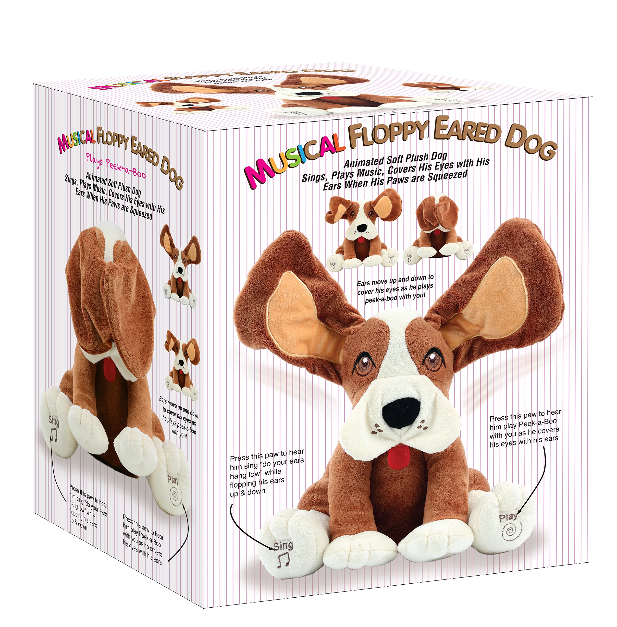 How Do Dogs With Floppy Ears Hear