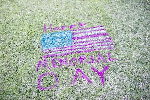 Vista 5 de Testors Spray Chalk