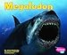 Produktbild Megalodon (Pebble Plus)