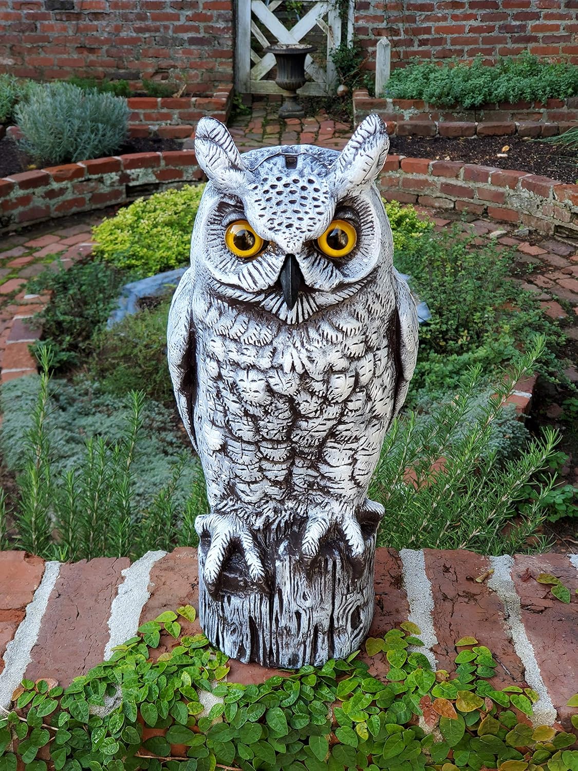Dalen Fake Owl Decoy to Scare Birds Away from Gardens, Rooftops, and Patios - Scarecrow Provides Chemical-Free Pest Control - Safe and Humane, 16" Great Horned Owl - Snow White - Image 4